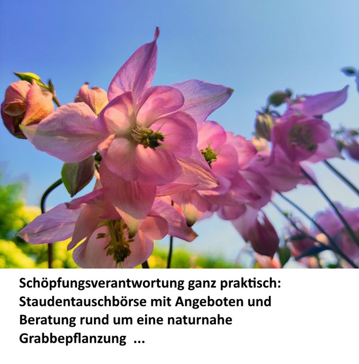 am 10.09.2026 - 16:30 Uhr, in Sendenhorst ...